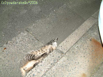 20060813-3