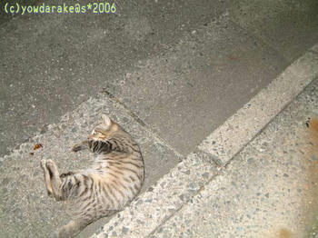 20060813-4