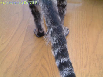 20060819-2