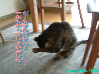 20060917
