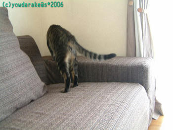 20060917b