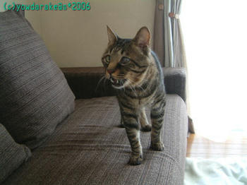 20060917c