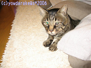 20060507b