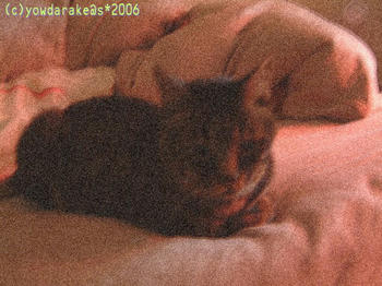 20061007