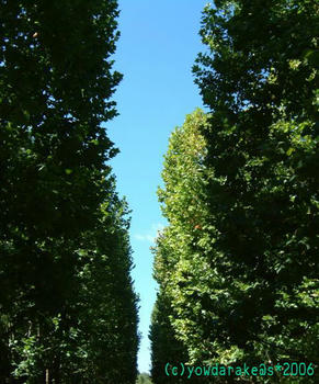 20061009-1