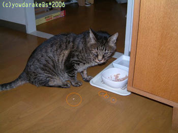 20061021-2