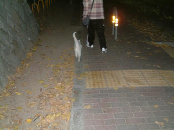 20061106-2