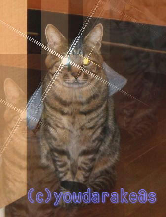 20050917