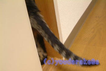 20051001-2