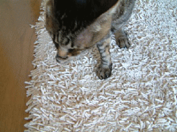 20051002