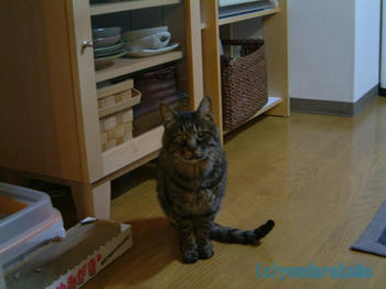 20070211
