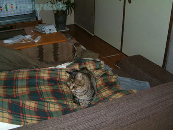 20070324-3