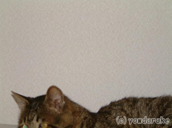 20070718-3