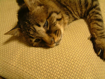20070815-1