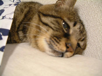 20070830-3
