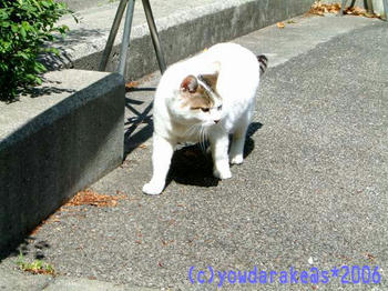 20060507c