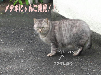 てめぇに言われたないわ!