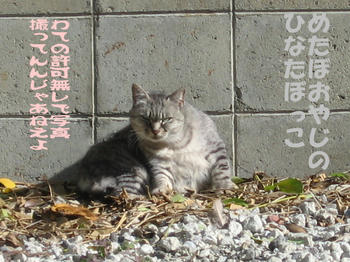 何、しとんねん!