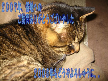 ぺこり