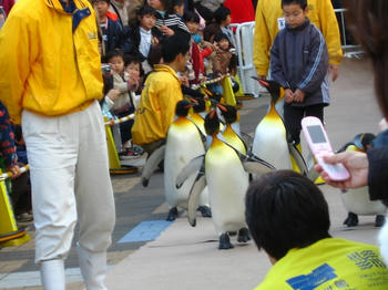 ぽてぽて