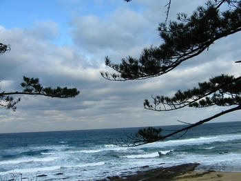 冬の海