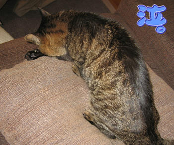 く、くやしいっ