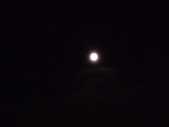 十五夜お月さん