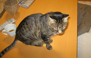 20051211-1