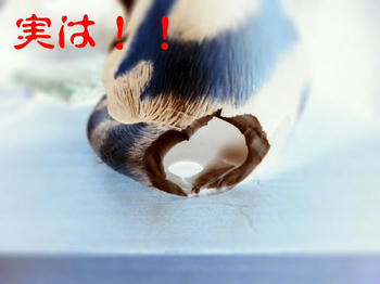 がが～～～～んっっ