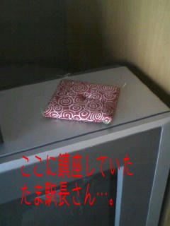 座布団不安定なの…