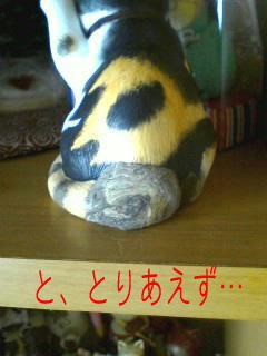 これで我慢シテね