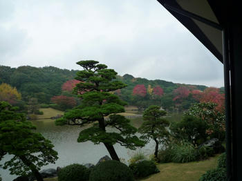 紅葉する日本庭園