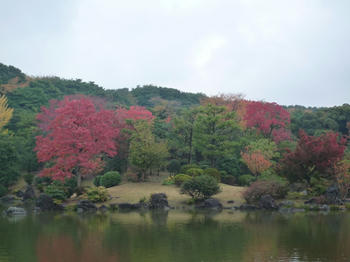 紅葉する日本庭園2