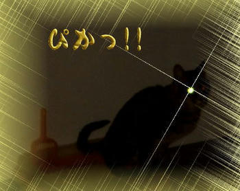 ぴかっ！