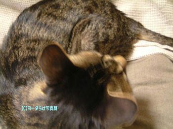 20060110