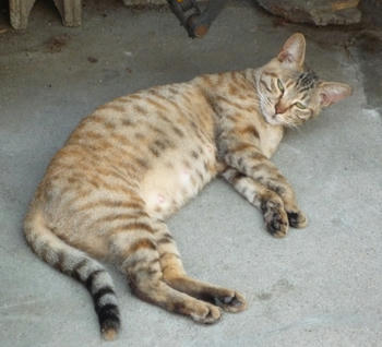 なにとってんのよ!