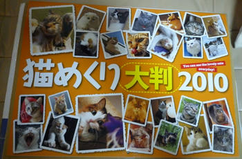 猫めくり~大判