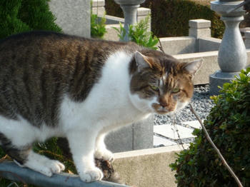なにみとんねん