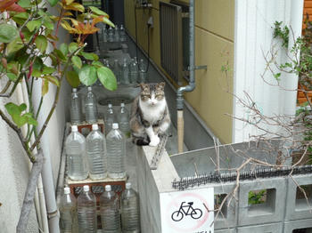なんかあるみたいやけど…