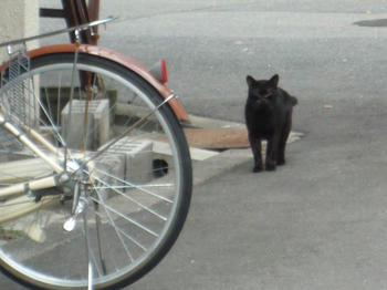 くろ