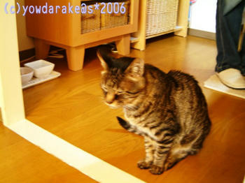 20060513a