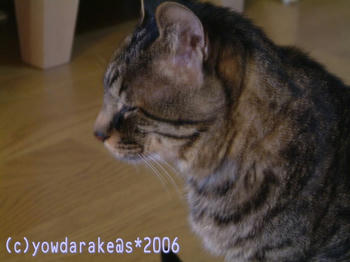 20060513b