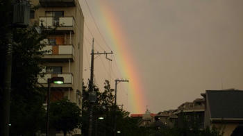 rainbow3