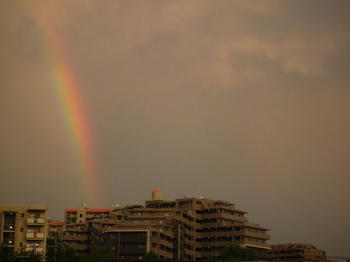 rainbow4