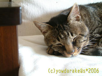 20060611