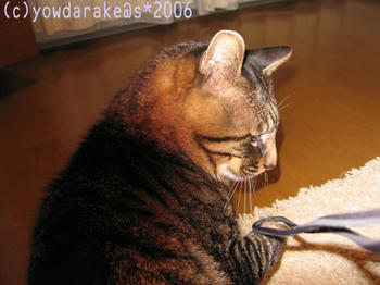 20060309その２