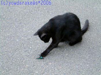 20060324c