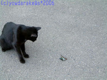 20060324a