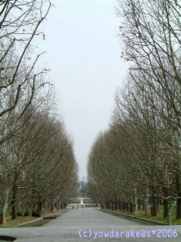 20060404