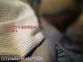 20060411b